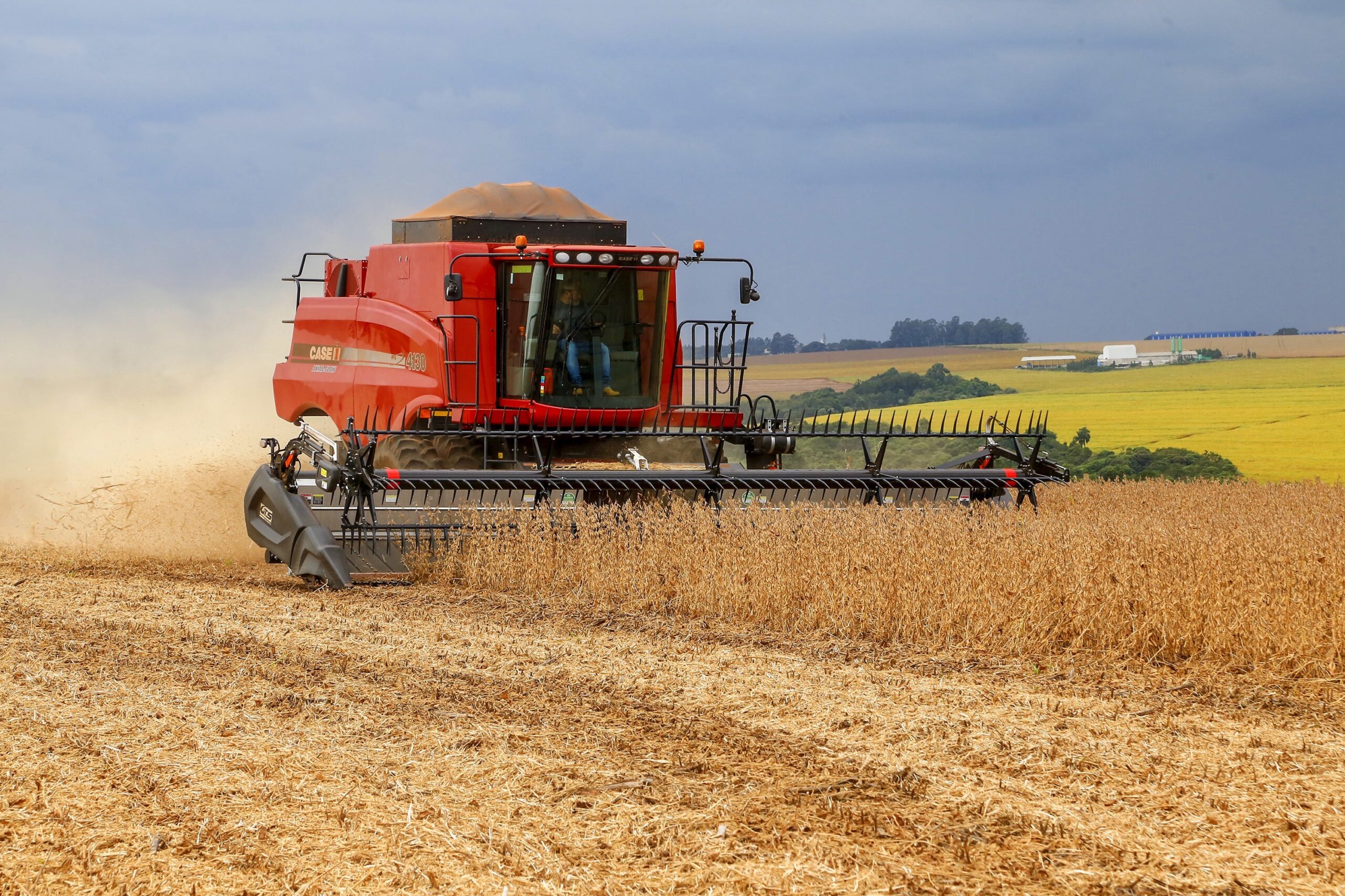 Agropecuária impulsiona PIB brasileiro em 2023